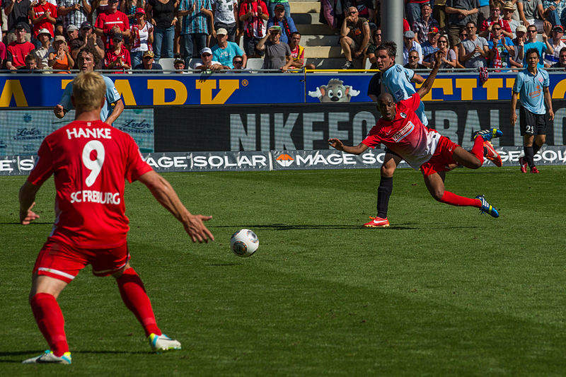 File:SC Freiburg vs FSVMainz 17 août 2013 17.jpg