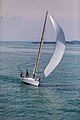 * Nomination Sailing on Lake Constance --MB-one 12:36, 29 September 2018 (UTC) * Promotion  Support Good quality. --Poco a poco 15:33, 29 September 2018 (UTC)