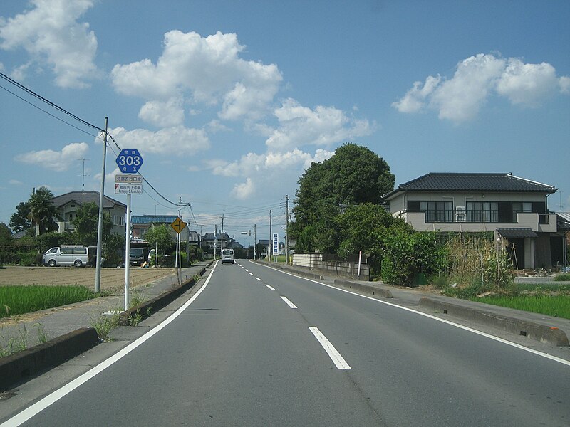 File:Saitamakendo 303 Gyoda City 1.JPG