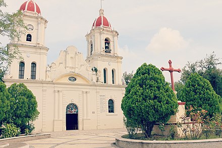 Our Lady of Guadalupe