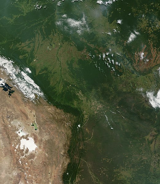 The Andes create a rain shadow, separating the wet Amazon basin from the dry Altiplano.