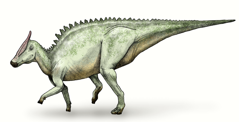 File:Saurolophus debivort.png