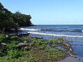 Scenery around Balgue - Ometepe Island - Nicaragua - 05 (31750657425).jpg