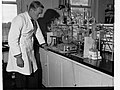 Scientist Working in a Laboratory(GN09043).jpg