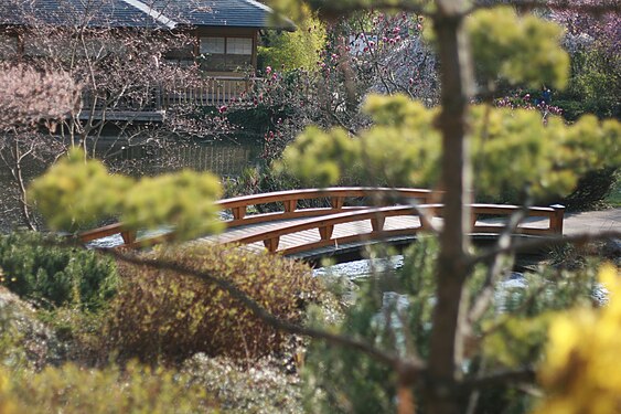 Setagaya Brücke im Tokyo Park in Wien Döbling