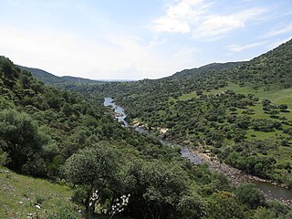 Rio Jándula