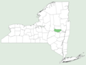 Spiraea × vanhouttei NY-dist-map.png
