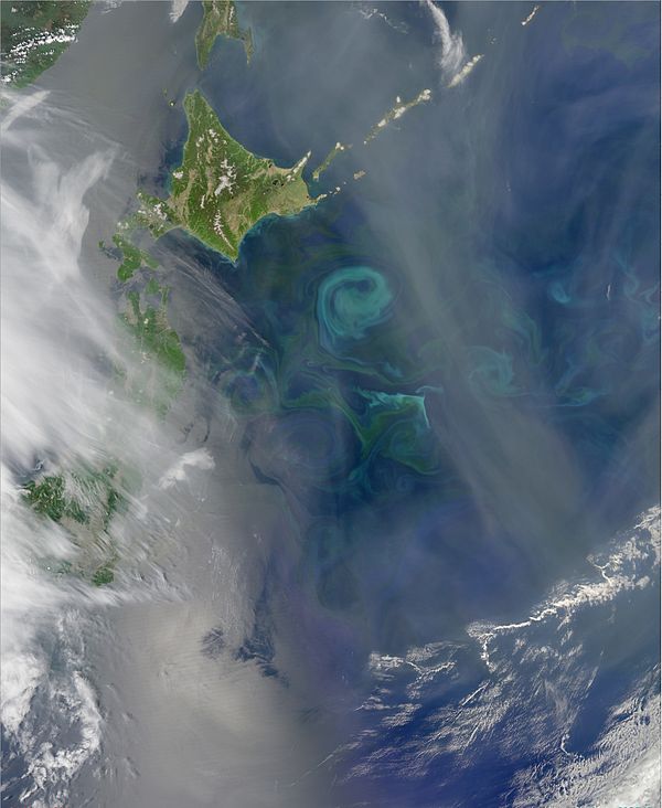 The Oyashio Current colliding with the Kuroshio Current near Hokkaido. When two currents collide, they create eddies. Phytoplankton growing in the sur