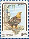 Stamp of India - 1992 - Colnect 164337 - Himalayan Golden Eagle Aquila chrysaetos daphanea.jpeg