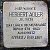 Stolperstein Löherstr. 21 Adler Herbert