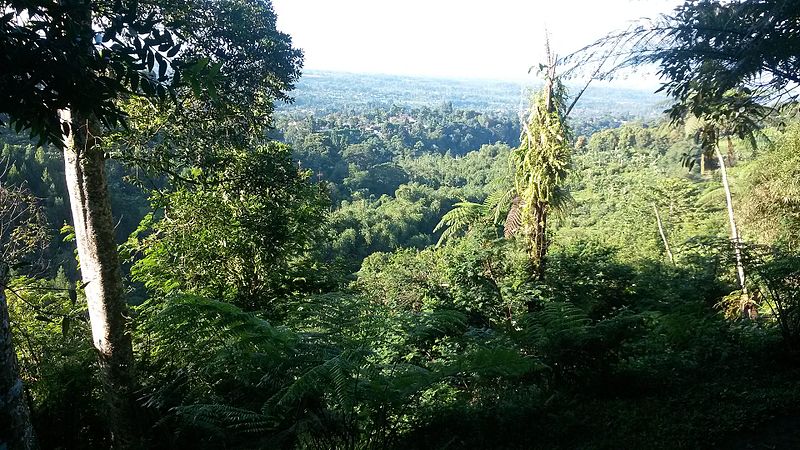 File:Suasana tanakita.jpg