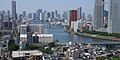 Sumida River (O-kawabata) - panoramio.jpg
