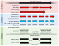 Thumbnail for RNA-Seq