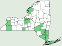 Symphyotrichum lowrieanum NY-dist-map.png