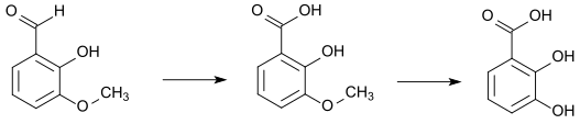 Reaktion von ortho-Vanillin zur 2,3-Dihydroxybenzoesäure