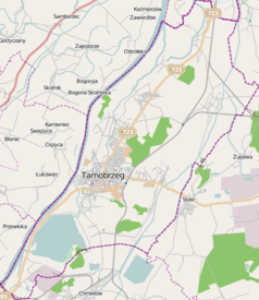 Mapa konturowa Tarnobrzega, na dole po lewej znajduje się owalna plamka nieco zaostrzona i wystająca na lewo w swoim dolnym rogu z opisem „Jezioro Tarnobrzeskie”