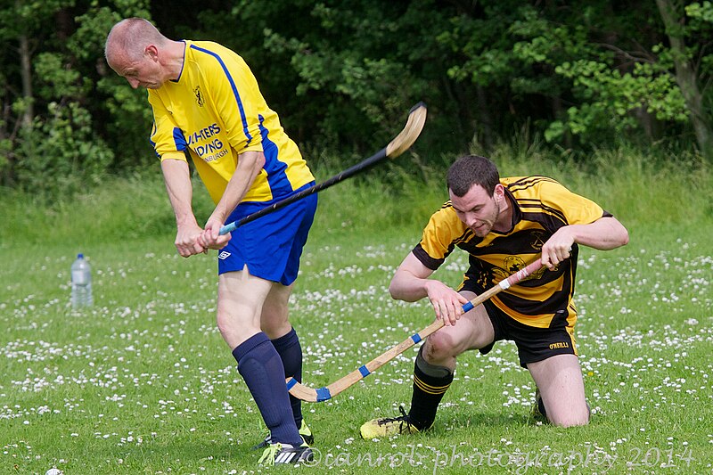 File:Tayforth vs Col Glen 2202 (14252441798).jpg