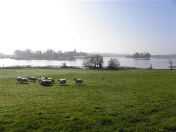 Templeport Lough, County Cavan, Ireland, looking south.