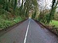 Thumbnail for R667 road (Ireland)