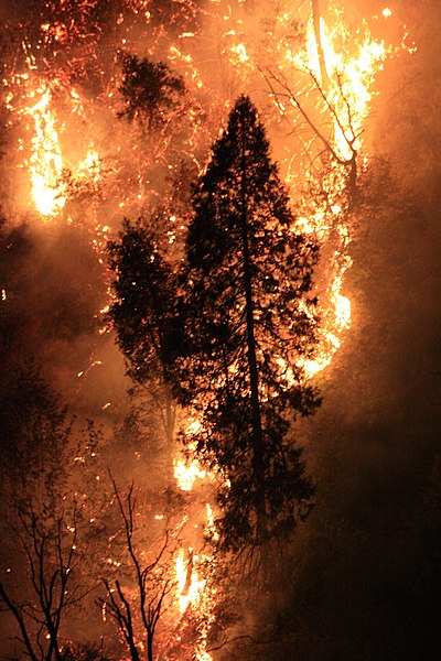 File:The Rim Fire in the Stanislaus National Forest on Aug. 17, 2013 -001.jpg