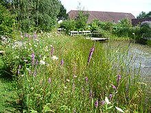 Tyland Barn nature reserve The pond and barn at Tyland Barn - geograph.org.uk - 3066788.jpg