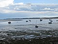 Tide is out at Lindisfarne - geograph.org.uk - 1401704.jpg