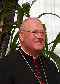 Timothy M. Dolan American cardinal of the Catholic Church