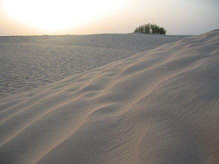 The Tunisian Desert