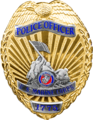 United States Marine Corps Military Police Badge