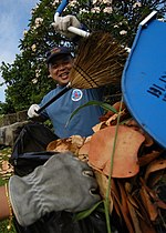 Thumbnail for File:US Navy 050429-N-3019M-001 Chief Hospital Corpsman Perry Camagong, assigned to Navy Environmental and Preventive Medicine Unit Six (NEMPU-6), Pearl Harbor puts leaves into a trash bag.jpg