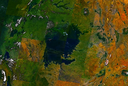 Satellite image of Lake Victoria in center, western rift lakes on left.