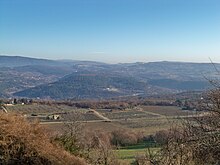 Cabanon et ses trois cyprès au milieu des vignes et des vergers