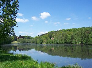 Würzbacher Weiher 2010-05-21.jpg