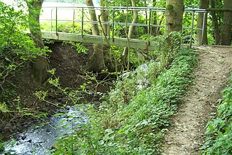 Die Madel in Krauthausen