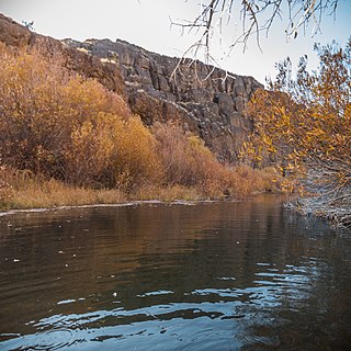 <span class="mw-page-title-main">West Little Owyhee River</span> River in Oregon, United States