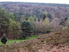 Whitmoor Vale - geograph.org.uk - 3838.jpg