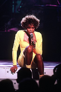 Whitney Houston Welcome Heroes 8.JPEG