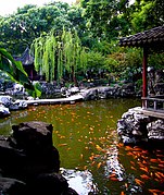 Capa koi al jardí Yuyuan de Xangai