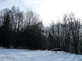 Čeština: Přírodní rezervace Zatoňská mokřina č. 5691 mezi vesmi Zátoň a Horní Vltavice, okres Prachatice. English: Nature reserve Zátoňská mokřina between the villages of Zátoň and Horní Vltavice, Prachatice District, South Bohemian Region, Czech Republic.