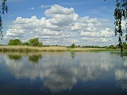 Le lac de Zobnatica, près de Bačka Topola