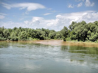 Sammenløb af Mur (brun) og Drava (grøn) floder nær Legrad (Kroatien)