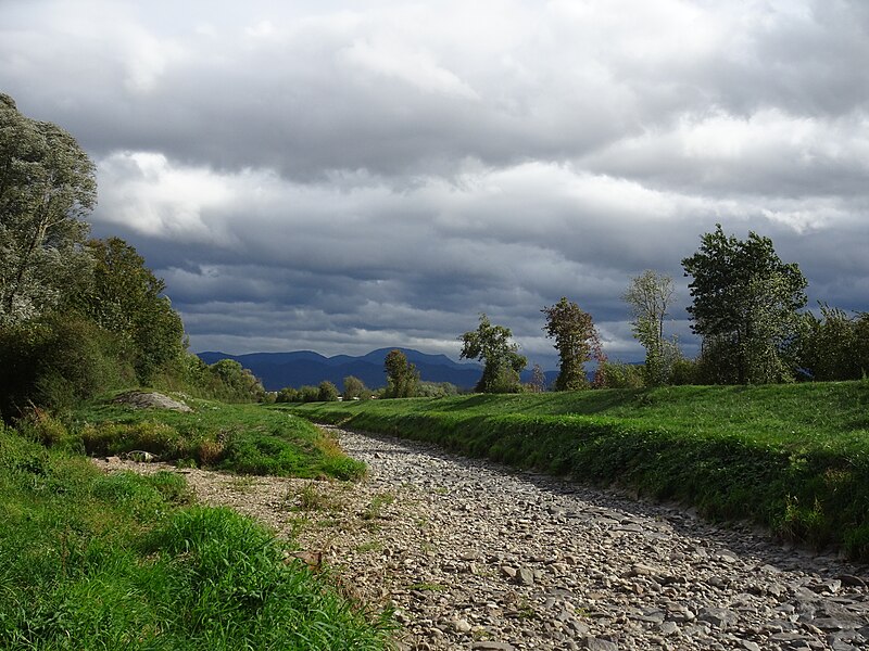 File:Zusammenfluss von Möhlin und Neumagen - bei sommerlicher Versickerung.jpg