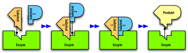 File:Tecmundo 2x.png - Wikimedia Commons