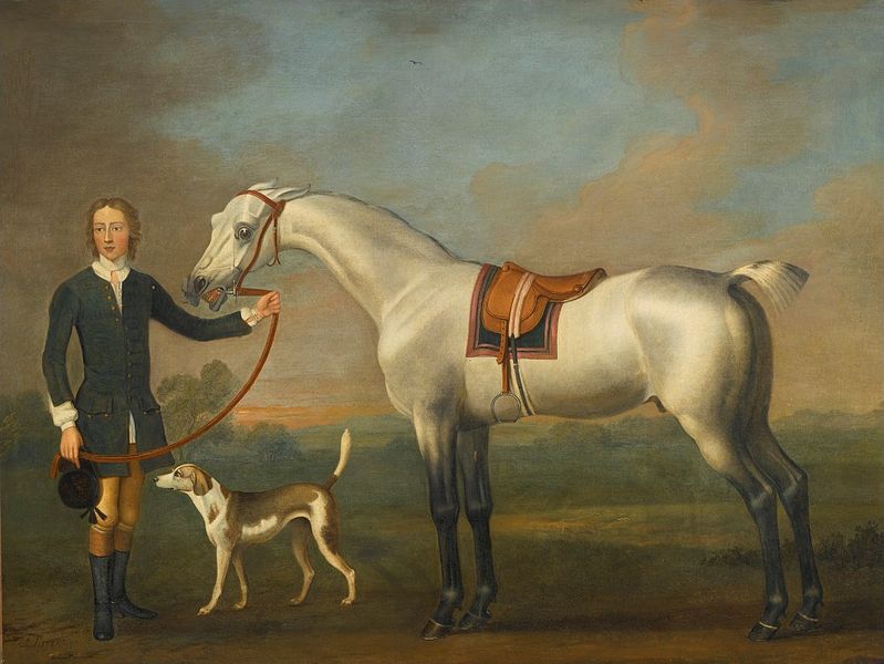 File:'A Gray Hunter Held by a Groom' by Thomas Spencer, 1751.jpg