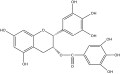 (–) -Epigallocatechin gallate