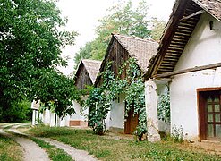 Bodegas de vino šokci.