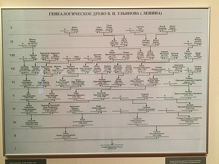 Генеалогическое древо толстых