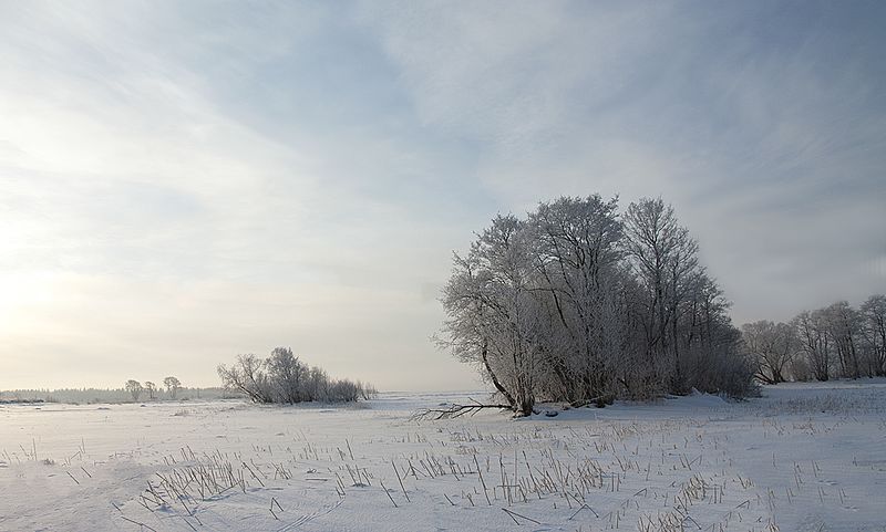 File:Прогулки по заливу - panoramio (2).jpg