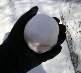 Snowball Spherical object made from compacted snow