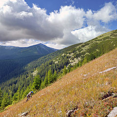 Горган. Висока.